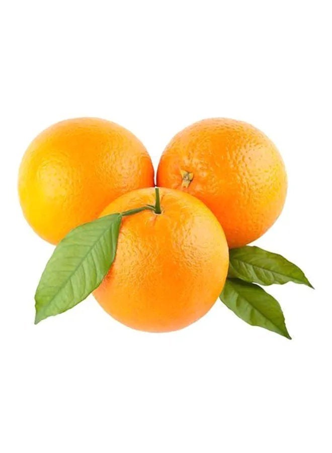 Valencia Orange, (Santra)