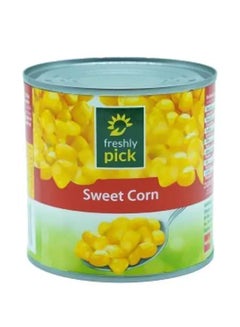 Freshly Pick Sweet Corn, China