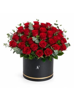 Ruby Dome Box