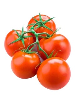Red Tomato Bunch, Local Single Pack, (Tamatar)