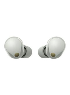 Sony True Wireless Noise-Canceling Earbuds, WF-1000XM5, Silver