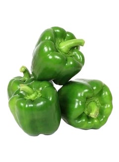 EP Capsicum, Green