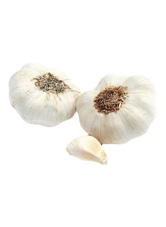 Garlic, China