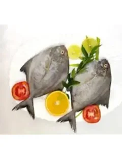Black Pomfret Big Slice