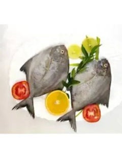 Black Pomfret Big Slice