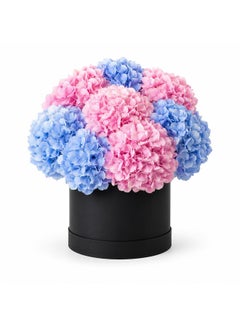 Cotonia Hydrangeas