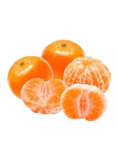 Mandarin, Spain