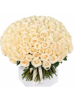 Alvera Roses