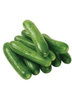 Cucumber, U A E