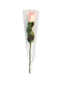 Bb Single Rose Pink