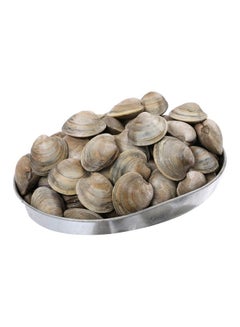 Small Clams