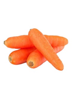 Nature Fresh Loose Carrot, China