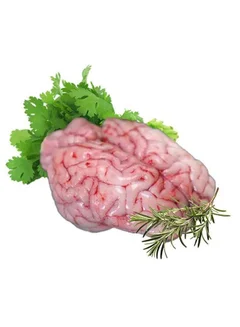 Australian Lamb Brain