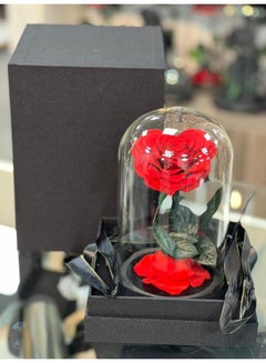 Forever Yours Red Preserved Rose