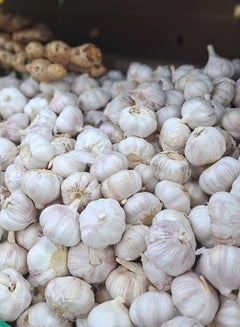 Garlic White, China (Lehsun)