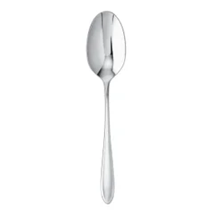 Dream Stainless Steel Table Spoon
