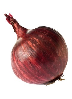 Onion, Red