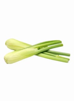 Baby Fennel
