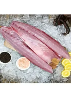 Kingfish Fillet