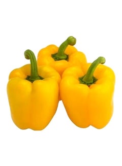 EP Capsicum, Yellow
