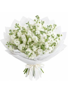 White Matthiola Bouquet