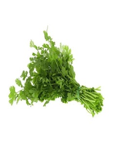 Coriander Herbs Single Pack
