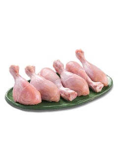 Fresh Chicken Drumstick