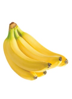 Bioline Banana Premium, Ecuador (Kela)