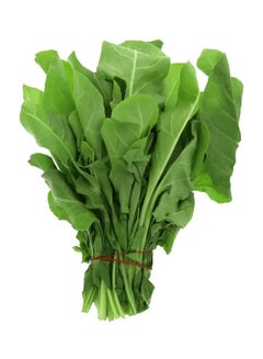 Spinach (Palak)