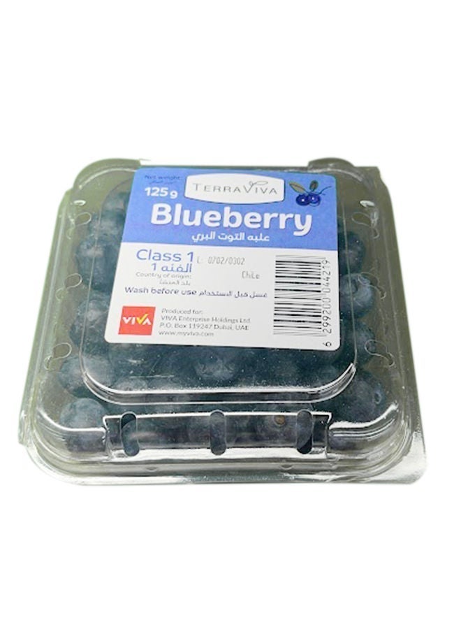 TerraViva Blueberry, Peru