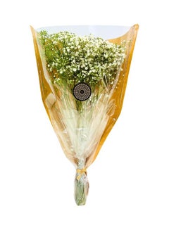 Bloombox Bunch Gypsophila (10 Stems)
