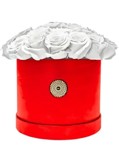 Bloombox Iconic White Rose Premium Red Box