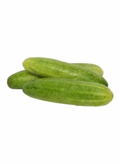 Fresh Cucumber