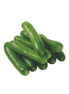 Liguori Cucumber, UAE (Kheera)