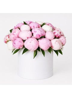 Pinkette Peonies