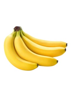 Chiquitta Banana