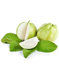 Guava, Vietnam