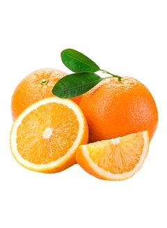 Valencia Orange, (Santra)