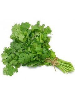 Coriander Bunch, U A E
