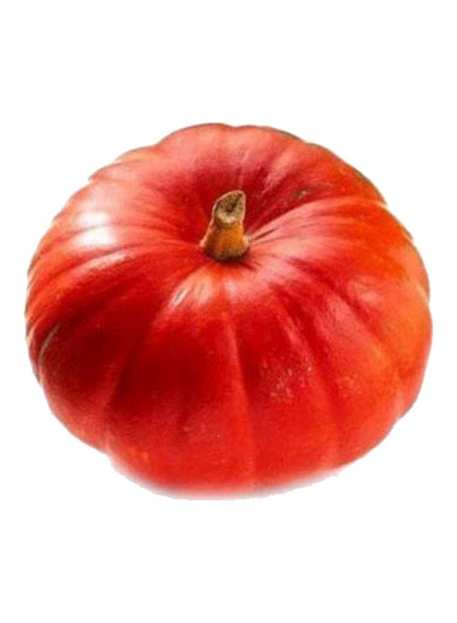 Pumpkin, Red, India, (Hara Kaddu)