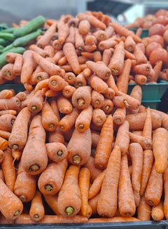 Carrot, China (Gajar)