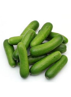 Cucumber Mini