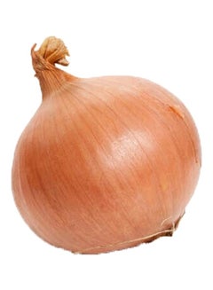 Onion, Brown