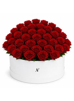 Prestige Scarlet Hatbox