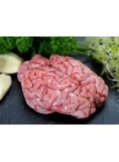 Fresh Brain