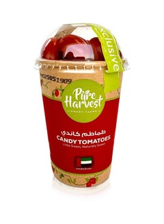 Pure Harvest Candy Tomatoes, (Tamatar)