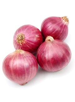 Onion, India (Pyaz)