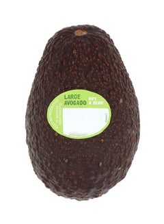 Hass Avocado, Tanzania