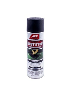 Ace Rust Stop Barbecue Protective Enamel Spray Paint BBQ Black 15 oz I00019A07
