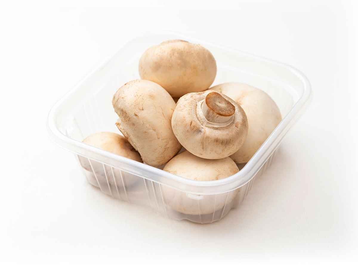 generic فطر ابيض طازج (علبة 250 جم)
